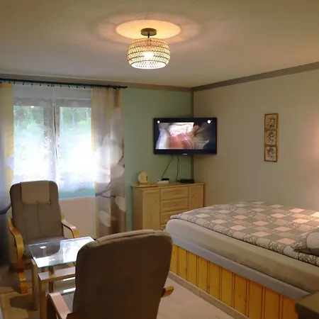 Goscinne Homestay *